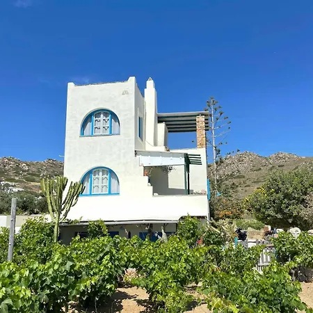 Matina's Vineyard *